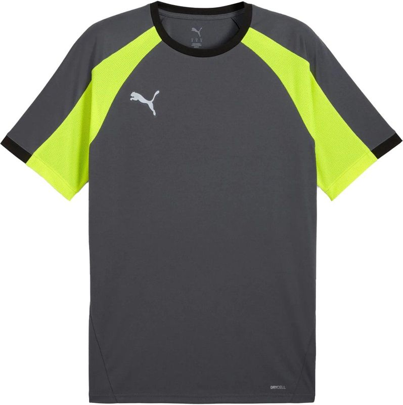 Puma - Individualliga - Jersey - Grijs