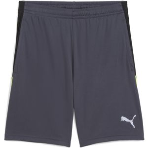 Puma - Liga - Korte Broek - Grijs