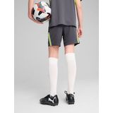 PUMA - individualFINAL - Training Shorts - Grijs/Geel - 100% Gerecycled Materiaal, DryCELL Technologie