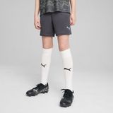 PUMA - individualFINAL - Training Shorts - Grijs/Geel - 100% Gerecycled Materiaal, DryCELL Technologie