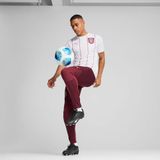 PUMA AC Milan Pre-Match Trainingsshirt 2024-2025 - Zwart Rood