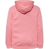 PUMA - Hoodie - Grafische Print - Katoen - Capuchon - Lange Mouwen