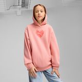 PUMA - Hoodie - Grafische Print - Katoen - Capuchon - Lange Mouwen