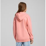 PUMA - Hoodie - Grafische Print - Katoen - Capuchon - Lange Mouwen