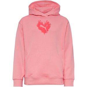 PUMA - Hoodie - Grafische Print - Katoen - Capuchon - Lange Mouwen
