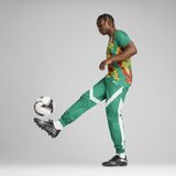 Puma - Prematch - Trainingsbroek - Groen Geel Rood - Senegal CAN 2025