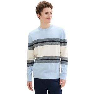 TOM TAILOR DENIM - Trui - Beige Lichtblauw Grijs Zwart - Knitwear - Lange Mouw