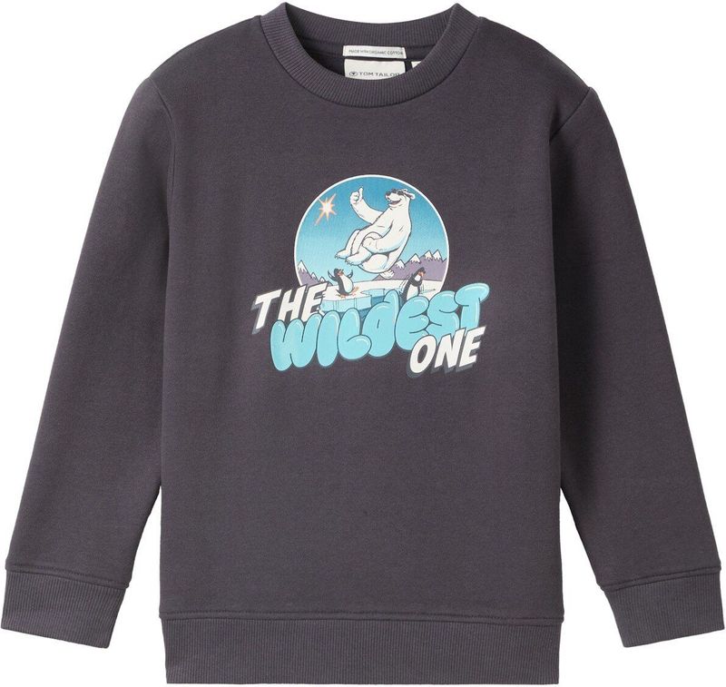 T-shirt - Wintermotief - Grijs - Mengsel van Katoen