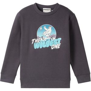 TOM TAILOR - Sweatshirt - Lichtblauw - Donkergrijs - Lila - Wit