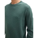 Tom Tailor - BASIC CREWNECK KNIT - Heren Trui - Groen - Ronde Hals