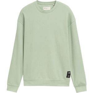 TOM TAILOR Denim Sweatshirt voor heren, 13632 - Fresh Mint Green, XS