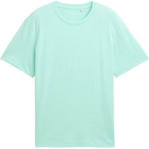 TOM TAILOR - Shirt - Mintgroen - Jersey - Ronde Hals - Kwartmouw