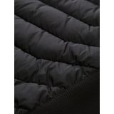 Tom Tailor - Gewatteerd Jack - Regular Fit - Effen - Ritssluiting - Waterafstotend