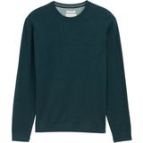 Tom Tailor - BASIC CREWNECK KNIT - Heren Trui - Groen - Ronde Hals