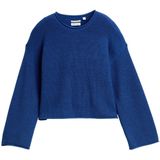 TOM TAILOR - Trui - Blauw