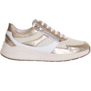 Solidus - Kitty 504 Sneakers - Sonic/Carter Flex Platino Mult
