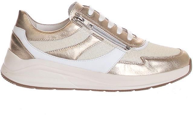 Solidus - Kitty 504 Sneakers - Sonic/Carter Flex Platino Mult