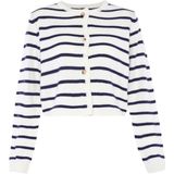 Vesten - Gestreept - Ronde Hals - Lange Mouw - Normale Pasvorm