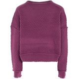 ebeeza - Trui - Donkerlila - Knitwear - Lange Mouw