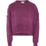 ebeeza - Trui - Donkerlila - Knitwear - Lange Mouw