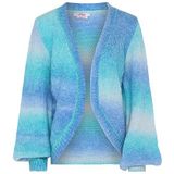 myMo - Vest - Blauw - Dames - Grof Gebreid - Zachte Garens