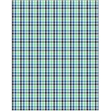 Fynch-Hatton Overhemd Geruit