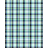 Fynch-Hatton Overhemd Geruit