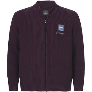 Jan Vanderstorm - OLETARVIN - Vest - Donkerrood