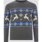 Jan Vanderstorm - TORE - Trui - Grijs