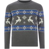 Jan Vanderstorm - TORE - Trui - Grijs