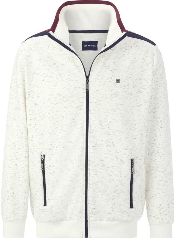 Babista - MIRDON - Sweatvest - Wolwit