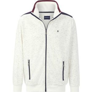 Babista - MIRDON - Sweatvest - Wolwit