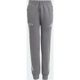 adidas - Mercedes-AMG Petronas Formula One Team - Broek - Zilver - Junioren