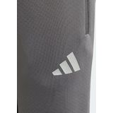 adidas - Mercedes-AMG Petronas Formula One Team - Broek - Zilver - Junioren