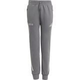 adidas - Mercedes-AMG Petronas Formula One Team - Broek - Zilver - Junioren