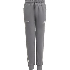 adidas - Mercedes-AMG Petronas Formula One Team - Broek - Zilver - Junioren