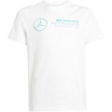adidas - Mercedes-AMG Petronas T-shirt - Zwart - 100% Katoen