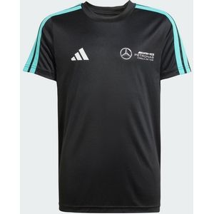 Funktionshirt 'MERCEDES - AMG PETRONAS FORMULA ONE TEAM '