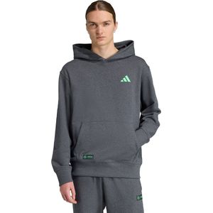 adidas - Mercedes-AMG Petronas Formula One Team - Hoodie - Katoen