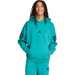 Future Icons 3-Stripes Hoodie