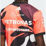 Mercedes - AMG Petronas Formula One Team Summer Pack Coureursshirt
