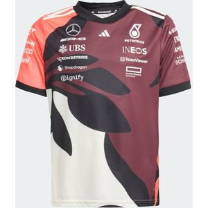 Adidas - Mercedes-AMG Petronas Formula One Team T-shirt - Groen - 100% Polyester