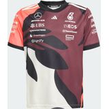 Adidas - Mercedes-AMG Petronas Formula One Team T-shirt - Groen - 100% Polyester