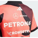 Adidas - Mercedes-AMG Petronas Formula One Team T-shirt - Groen - 100% Polyester