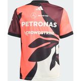 Adidas - Mercedes-AMG Petronas Formula One Team T-shirt - Groen - 100% Polyester