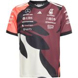 Adidas - Mercedes-AMG Petronas Formula One Team T-shirt - Groen - 100% Polyester