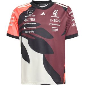 Adidas - Mercedes-AMG Petronas Formula One Team T-shirt - Groen - 100% Polyester