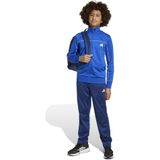 adidas - JX0204 - Trainingspak - Team Royal Blue - Gerecycled Polyester