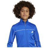 adidas - JX0204 - Trainingspak - Team Royal Blue - Gerecycled Polyester