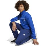 adidas - JX0204 - Trainingspak - Team Royal Blue - Gerecycled Polyester